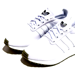 pair of Adidas shoes that say Rudidas instead