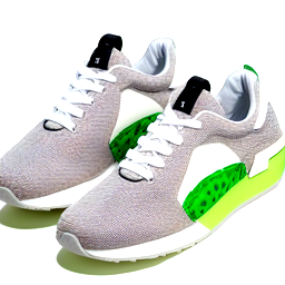 create a green sneaker with people on one side and animals on the other. also include the symbol of the foxp3 gene